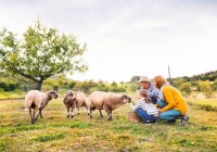 babyexpresscampingbarbara-mucha-media