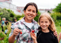 babyexpressgourmetsommercamp-essen