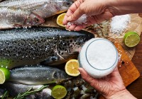 fisch-schwangerschaft-baby-express-barbara-mucha-media